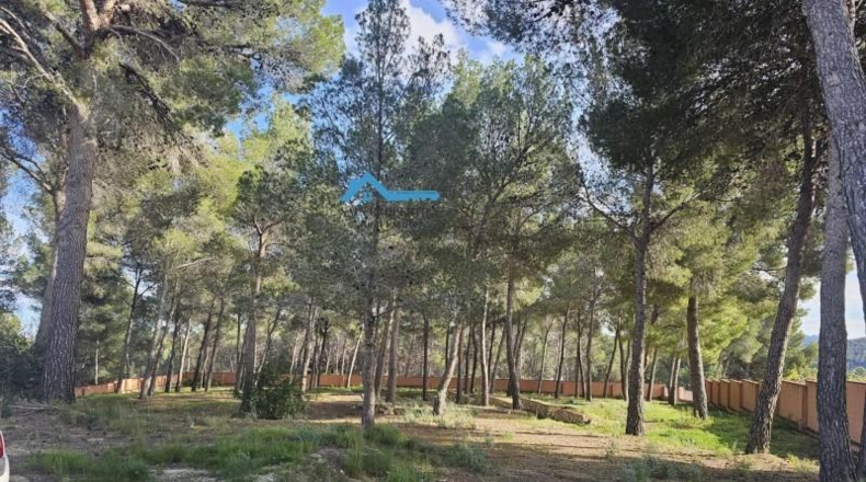 Alicante - Altea - 54000m2