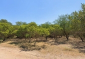 Terreno no urbanizable en venta en la España, Lérida, ref: TR384484 foto