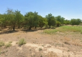 Terreno no urbanizable en venta en la España, Lérida, ref: TR384484 foto