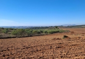 Detached villa with land for sale on España, El Bosque, ref: TR364073 photo