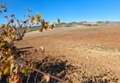 Detached villa with land for sale on España, El Bosque, ref: TR364073 photo