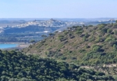 Detached villa with land for sale on España, El Bosque, ref: TR364073 photo