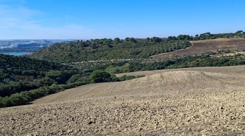 Кадис - El Bosque - 750000m2