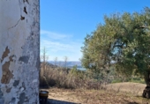 Detached villa with land for sale on España, El Bosque, ref: TR364073 photo