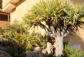 Foto 15