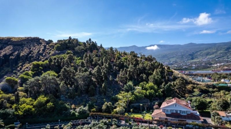 Santa Cruz de Tenerife - Puerto de la Cruz - 31200m2