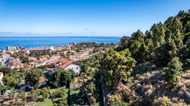 Santa Cruz de Tenerife - Puerto de la Cruz - 31200m2