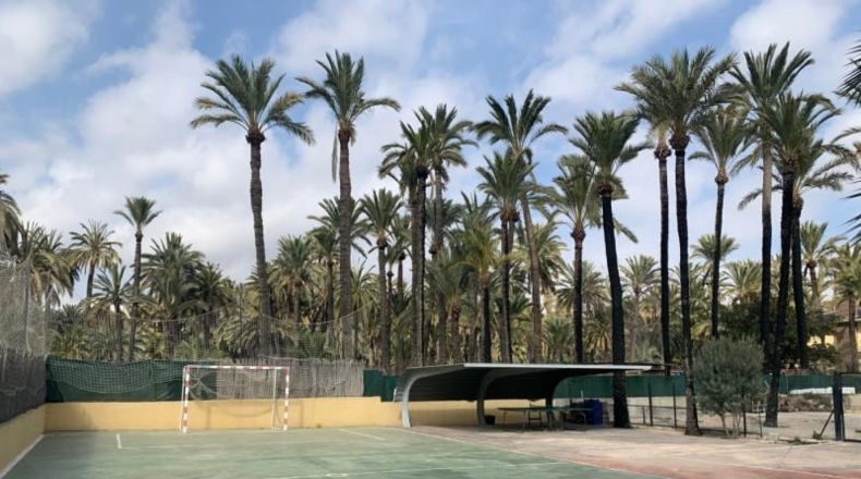 Alicante - Elche - 2754m2