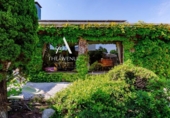 Chalet independiente con terreno en venta en la España, Villanueva de la Cañada, ref: TR390674 foto