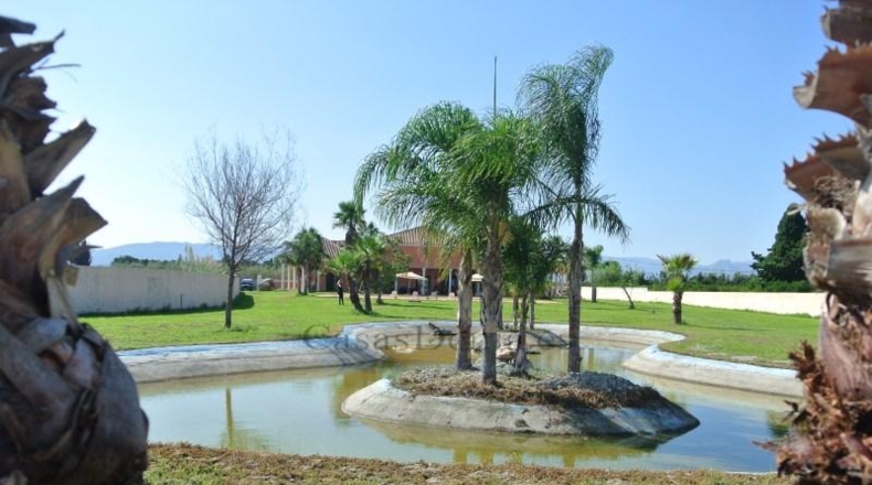 Alicante - Denia - 7000m2