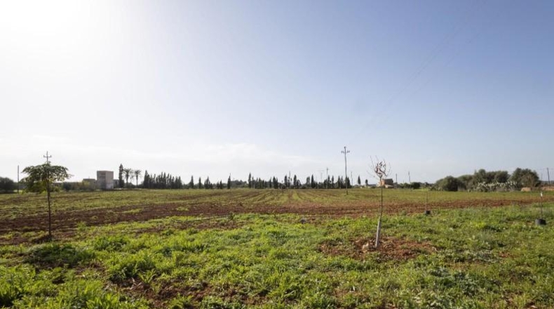 Islas Baleares - Campos - 28000m2