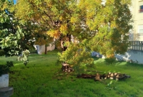 Foto 18