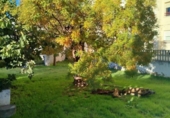 Отдельно стоящий дом с участком на продажу в городе Zafra Фото