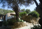 Rural estate for sale on España, Artà, ref: TR297857 photo