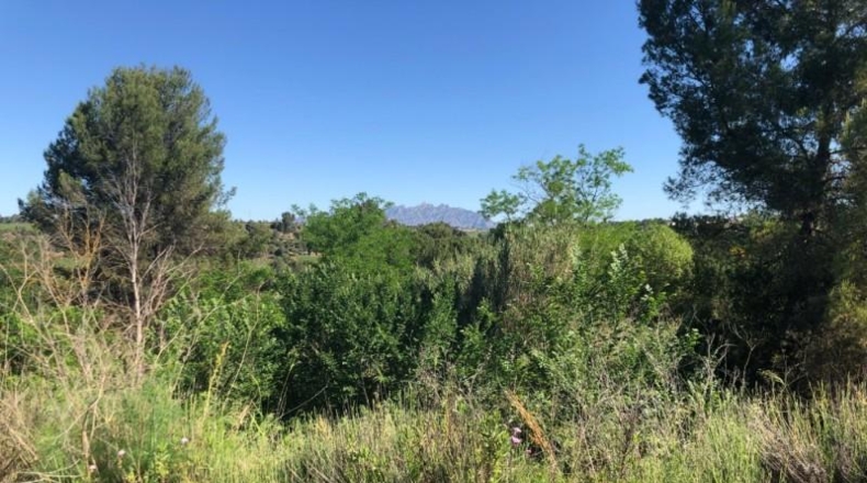 Barcelona - Gelida - 10689m2