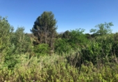 Terreno no urbanizable en venta en la España, Gelida, ref: TR120013 foto