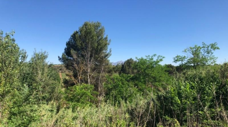 Barcelona - Gelida - 10689m2