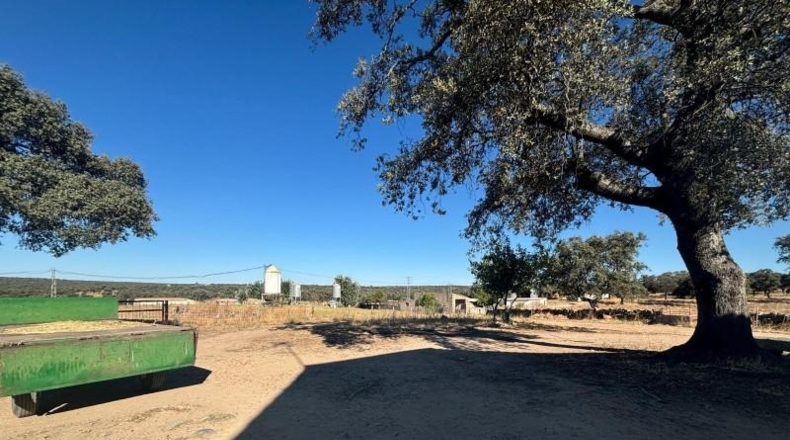 Córdoba - Pozoblanco - 1165619m2