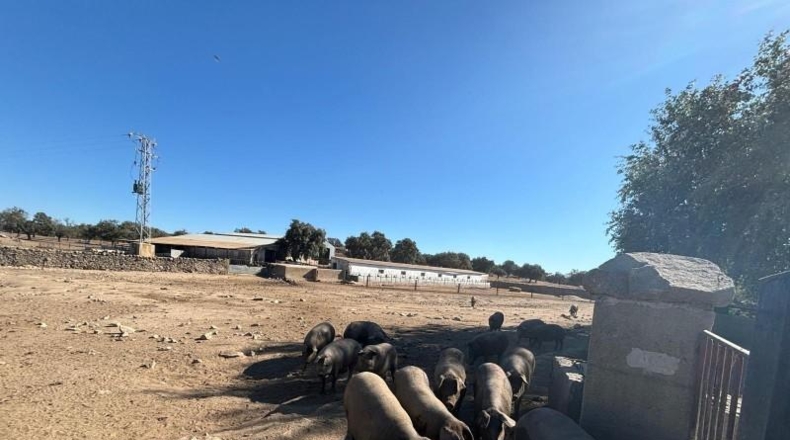 Córdoba - Pozoblanco - 1165619m2