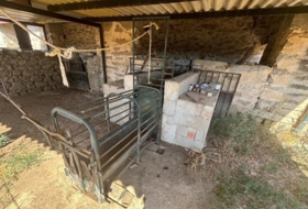 Foto 14
