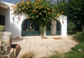 Casa de campo con terreno en venta en la España, Ciutadella de Menorca, ref: TR167961 foto