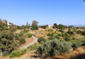 Casa de campo con terreno en venta en la España, Campo-Mijas, ref: TR249565 foto