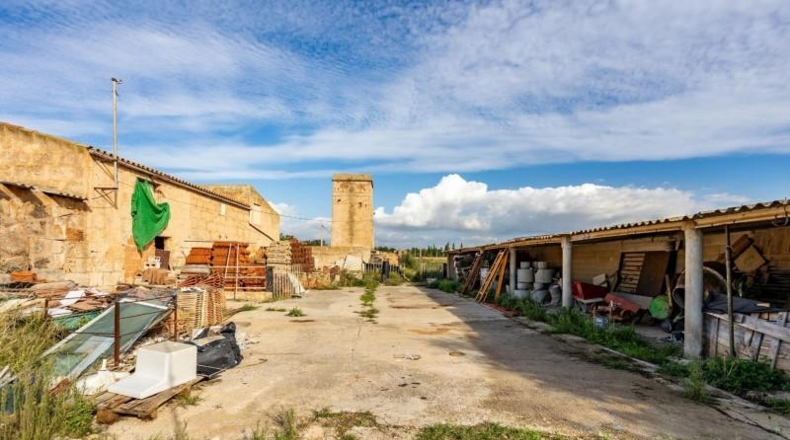 Islas Baleares - Palma - 34000m2