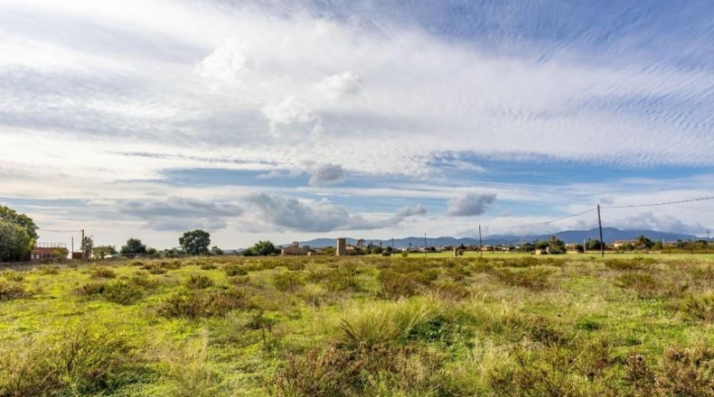 Islas Baleares - Palma - 34000m2