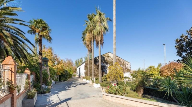 Granada - Purchil - 25000m2
