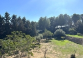 Rural estate for sale on España, Albinyana, ref: TR302746 photo