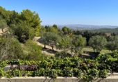 Rural estate for sale on España, Albinyana, ref: TR302746 photo