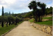 Rural estate for sale on España, Albinyana, ref: TR302746 photo