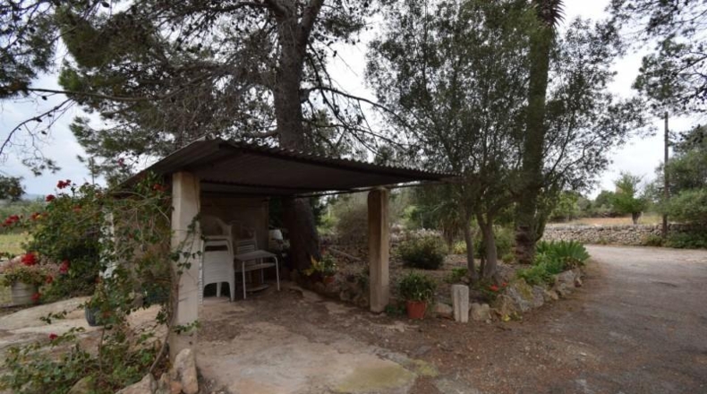 Islas Baleares - Palma - 40000m2