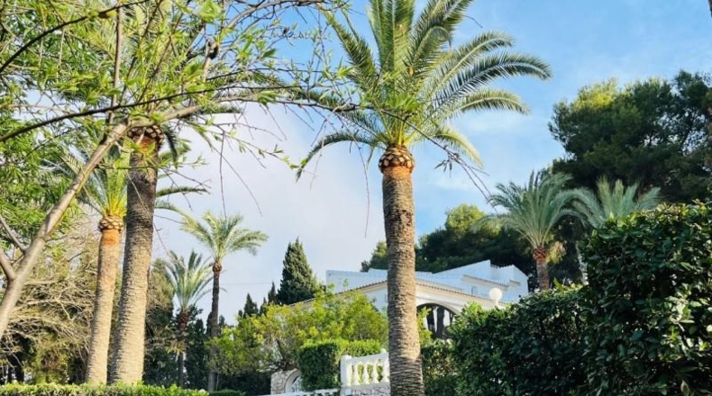Alicante - Jávea - 3000m2