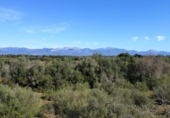 Chalet independiente con terreno en venta en la España, Sencelles, ref: TR191894 foto