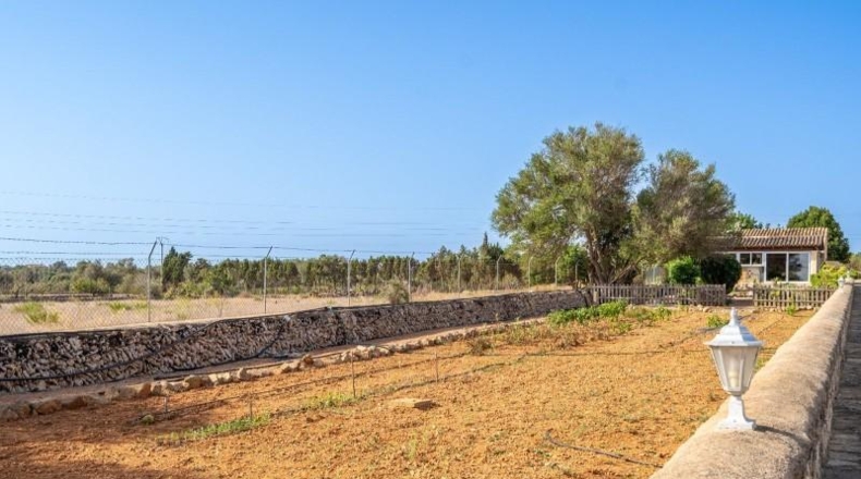 Islas Baleares - Son Bauló - 8970m2