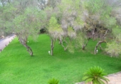 Chalet independiente con terreno en venta en la España, Palma, ref: TR136834 foto