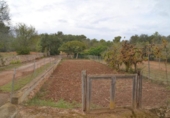Chalet independiente con terreno en venta en la España, Palma, ref: TR136834 foto