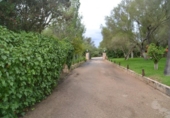Chalet independiente con terreno en venta en la España, Palma, ref: TR136834 foto