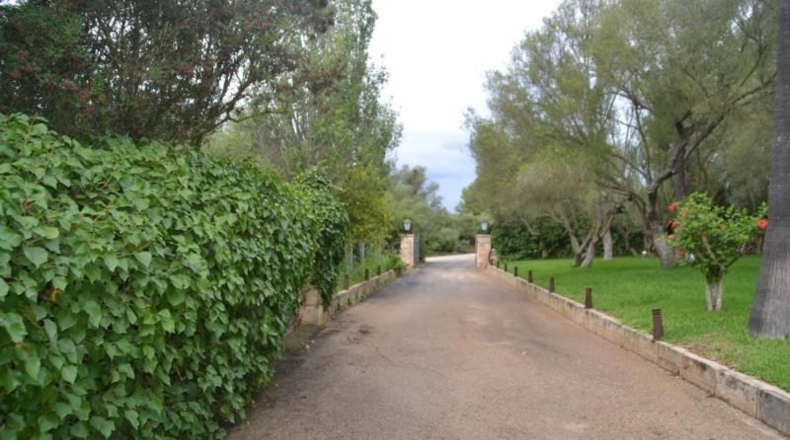 Islas Baleares - Algaida - 71286m2