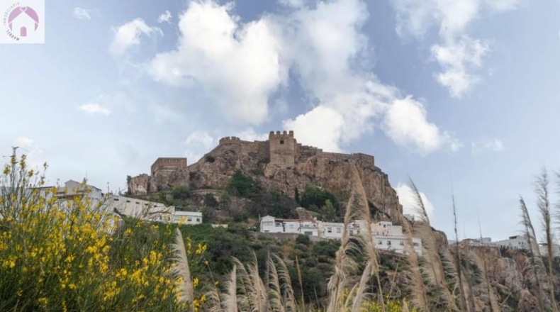 Granada - Salobreña - 23233m2