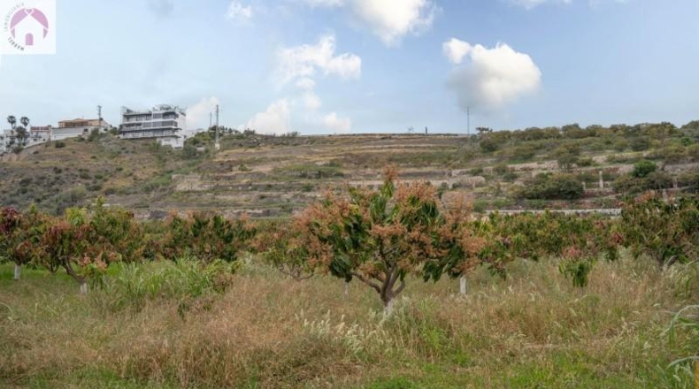 Granada - Salobreña - 23233m2