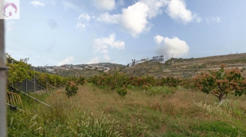Granada - Salobreña - 23233m2