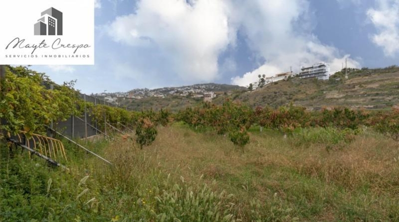Granada - Salobreña - 23233m2