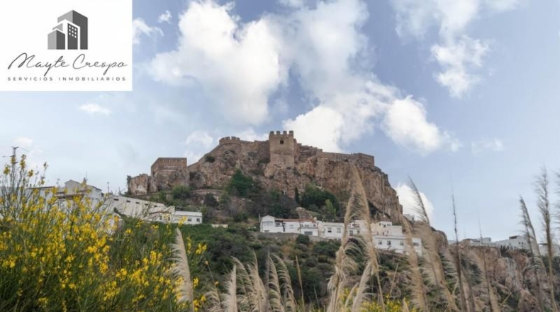 Granada - Salobreña - 23233m2