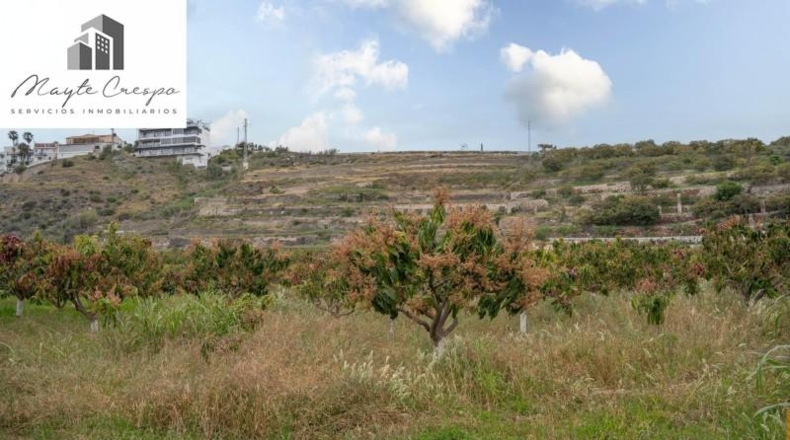 Granada - Salobreña - 23233m2