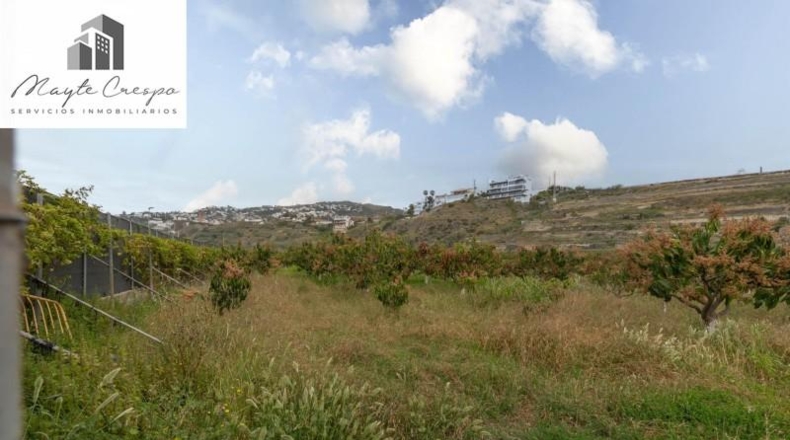 Granada - Salobreña - 23233m2