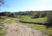 Chalet independiente con terreno en venta en la España, Sant Joan, ref: TR264790 foto