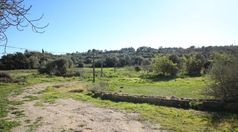 Balearic Islands - San Juan - 14763m2