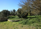 Chalet independiente con terreno en venta en la España, Sant Joan, ref: TR264790 foto